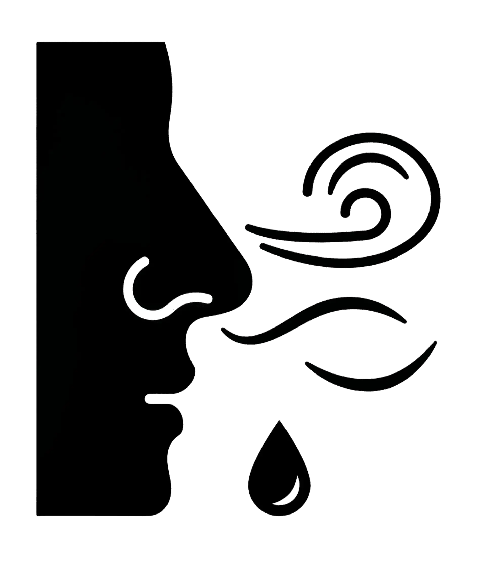 Limpeza Nasal
